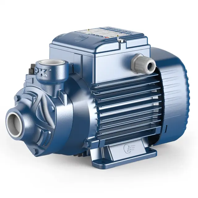 Pedrollo Electric Pump PKS