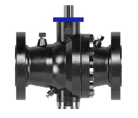 Cameron Ball Valve WKM 370D6