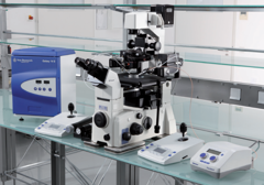 Eppendorf Piezoactuated Mouse PiezoXpert