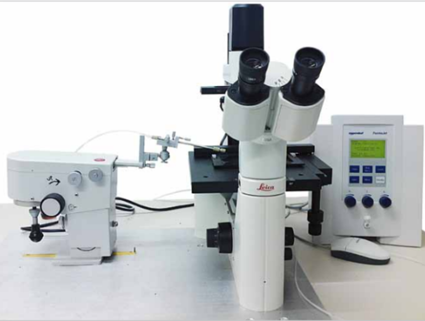 Eppendorf Drosophila Injection 79104