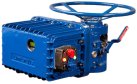 Limitorque Intrusive Multi Turn Actuator L120-20