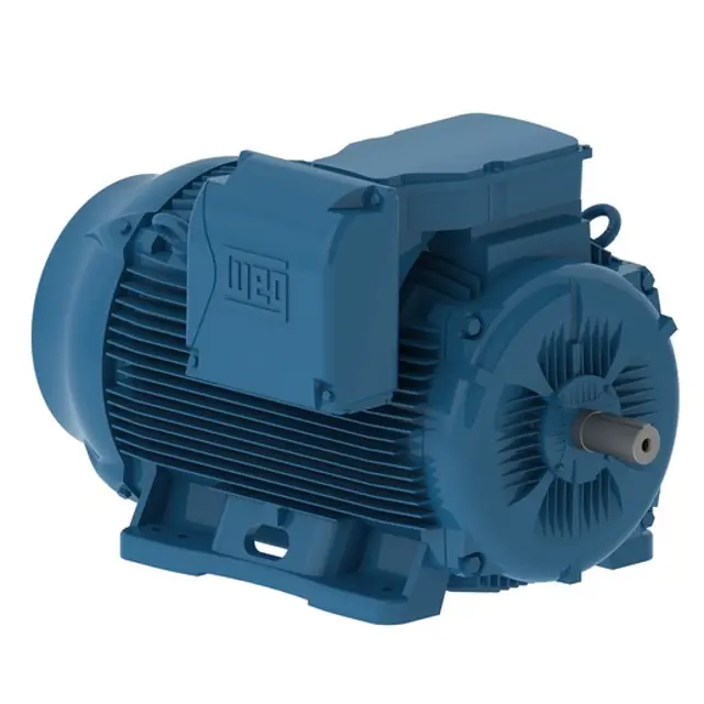 WEG Induction Motor W22